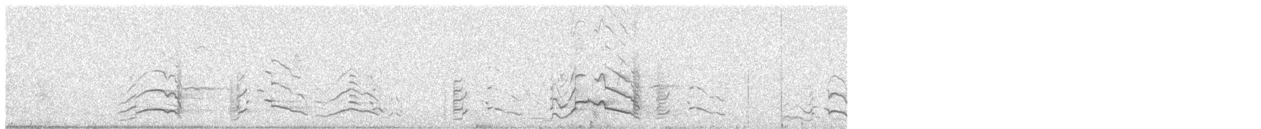 Baudin's Black-Cockatoo - ML614669112