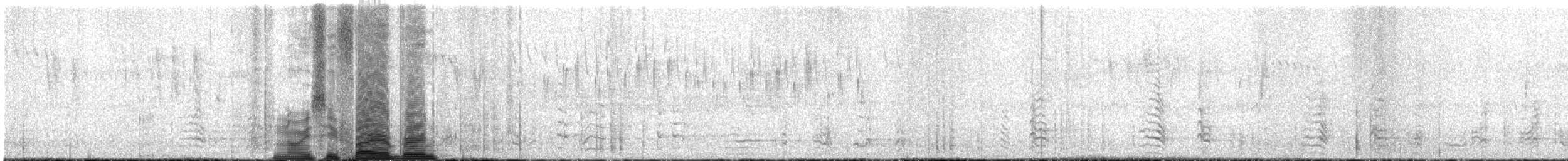 Noisy Friarbird - ML614681985