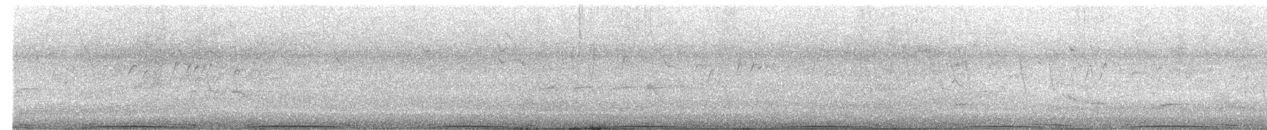 holub skalní (domácí) - ML614684994