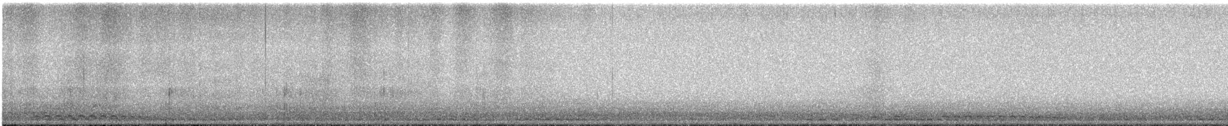 Western Screech-Owl - ML614686599