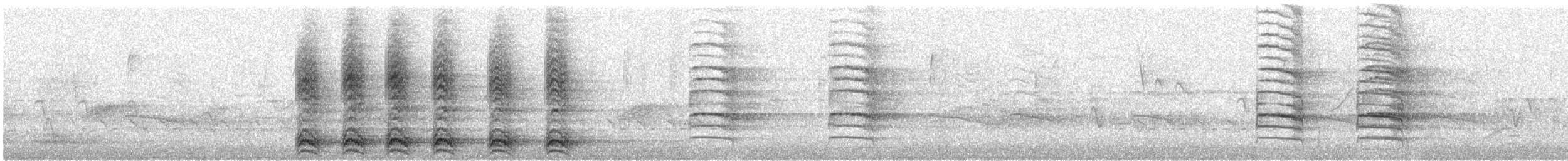 American Crow - ML614688060