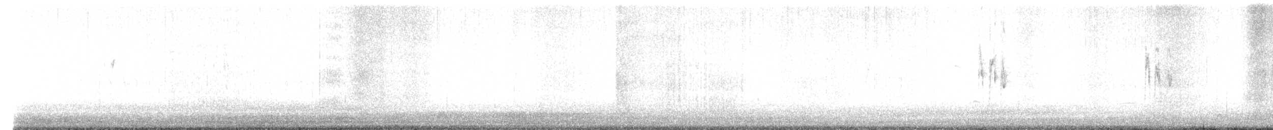 White Wagtail - ML614688356