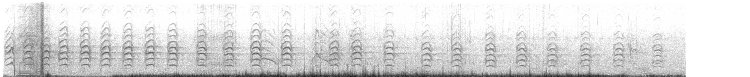 Schwarzbauch-Seeschwalbe - ML614688548