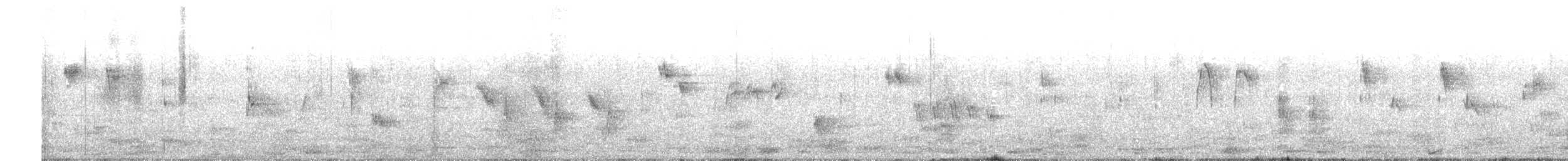 White-throated Dipper - ML614688664