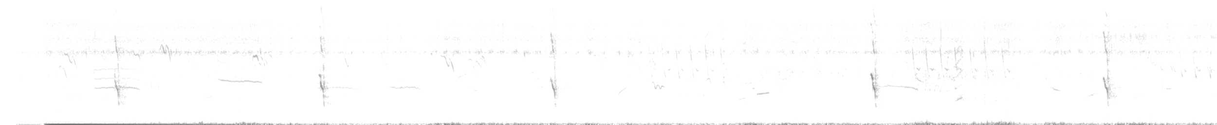 Щетинистая долгохвостка - ML614688741