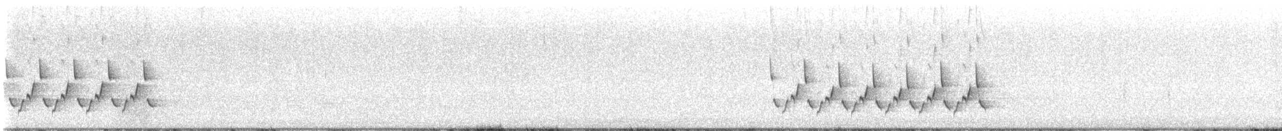 Поплітник каролінський - ML614690277