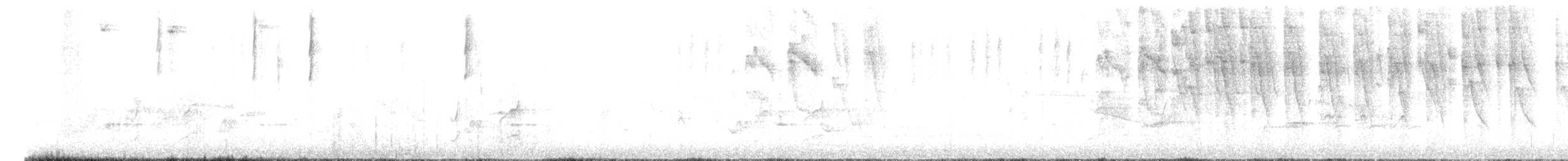 Kara Kulaklı Hemispingus - ML614692329