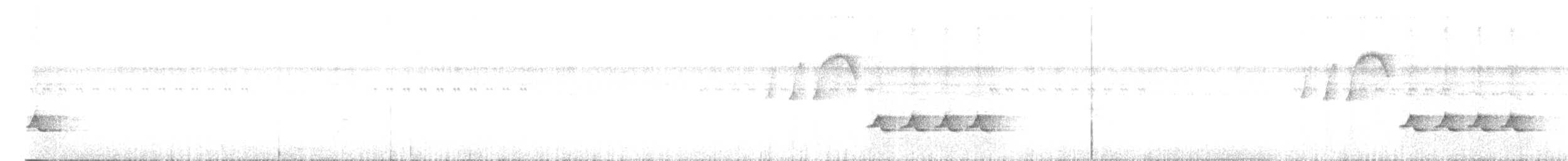Troglodyte à poitrine blanche (groupe leucosticta) - ML614692550