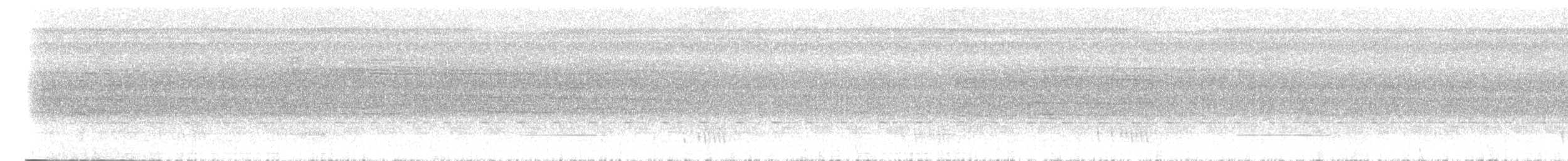Серый скрытохвост - ML614692816