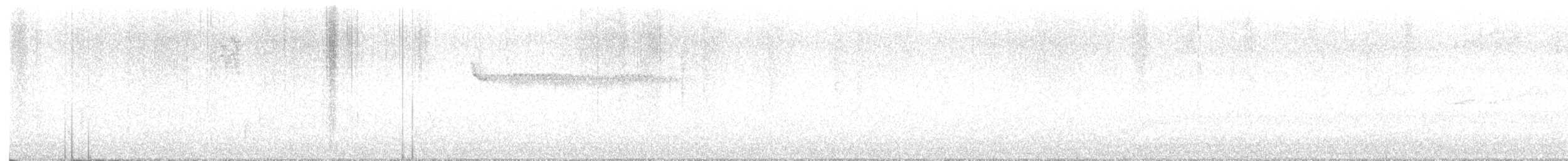 Troglodyte à poitrine grise (leucophrys/boliviana) - ML614693754