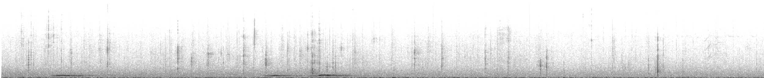 puštík bělavý (ssp. davidi) - ML614694882