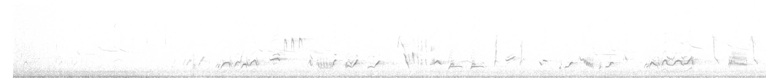 Moqueur à bec courbe (groupe palmeri) - ML614695297