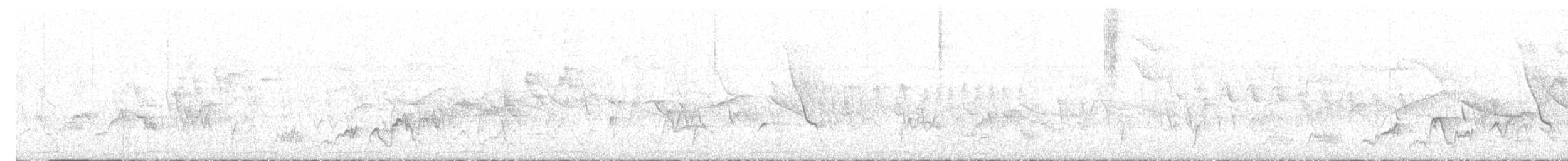 brunkinnskogtrost (swainsoni gr.) - ML614695808