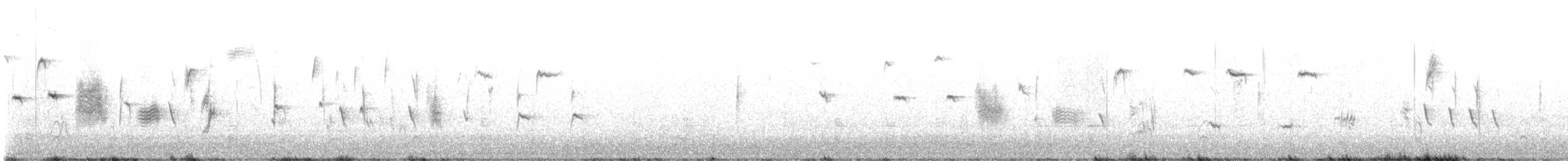 Yellow-rumped Warbler - ML614696909