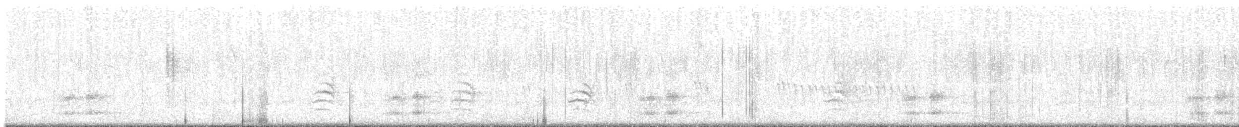 Weißbrustkleiber (aculeata/alexandrae) - ML614701703