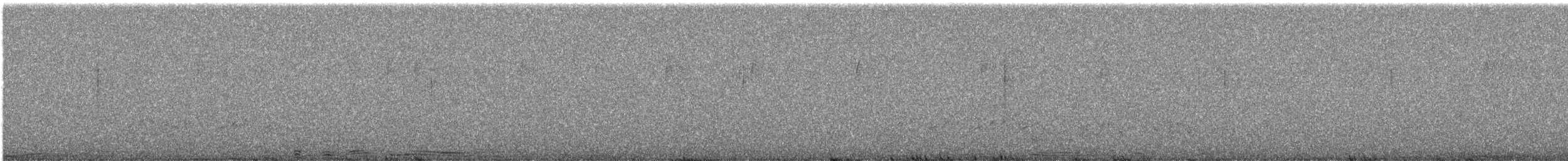 Paruline grise - ML614707685