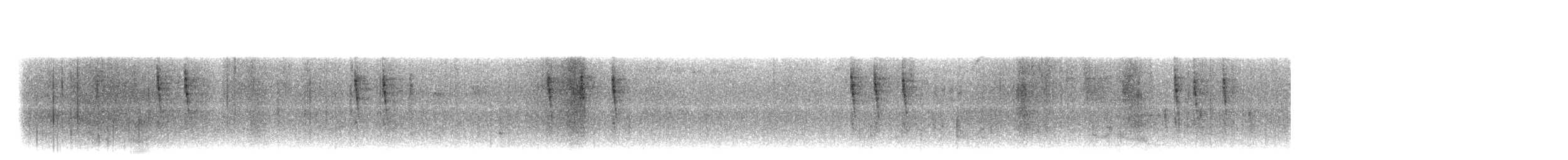 Troglodyte de Baird - ML614709954