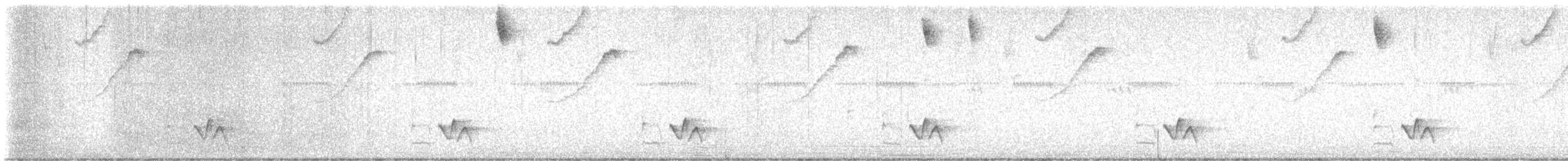 Troglodyte à poitrine grise (bangsi) - ML614713751