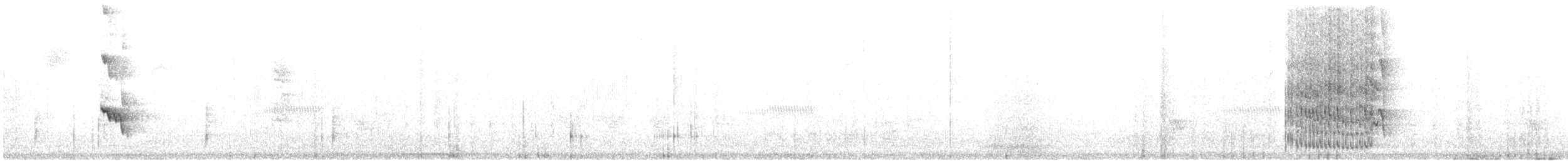 Пітанга-великодзьоб [група mexicanus] - ML614716177