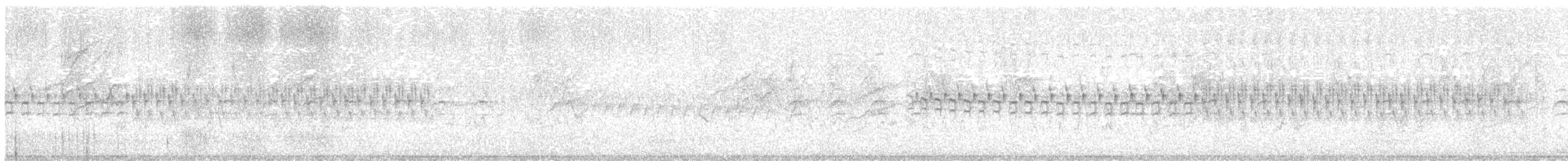 křivka bělokřídlá - ML614720520
