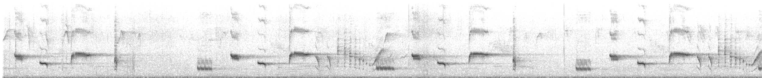 Батіжник вусатий (підвид leucogaster/lashmari) - ML614724532