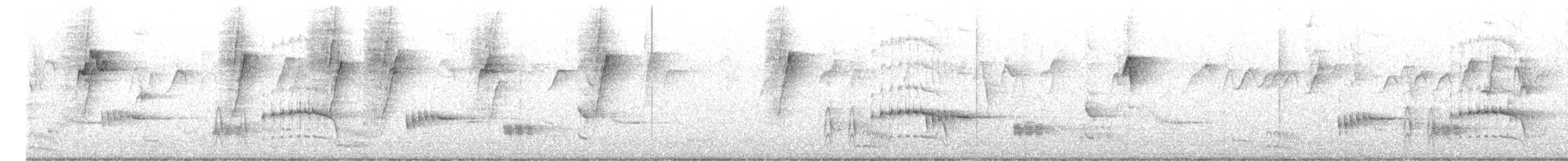 Western Whipbird (White-bellied) - ML614724555