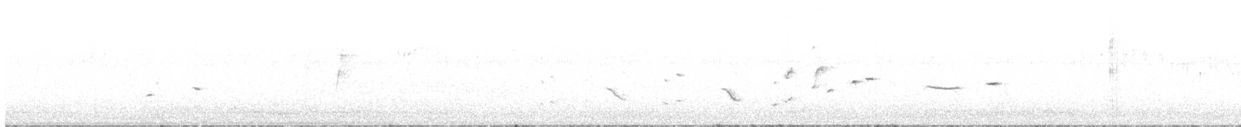 Белохвостая геригона - ML614725053