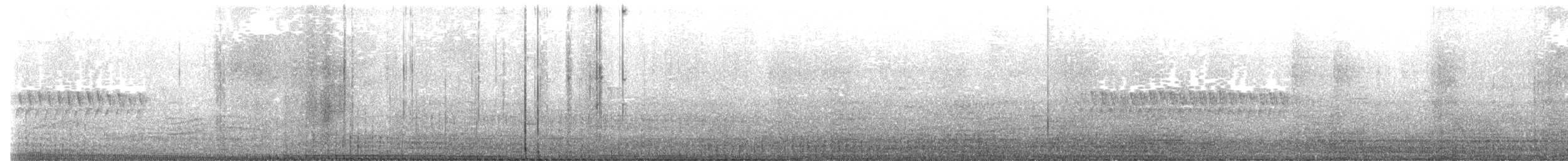 Юнко сірий [група oreganus] - ML614729042