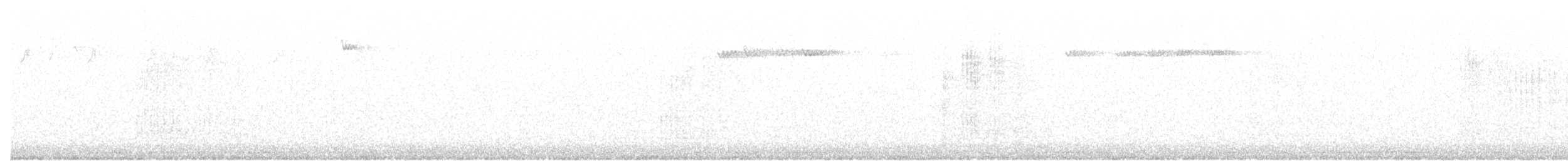drozd brávník - ML614732620