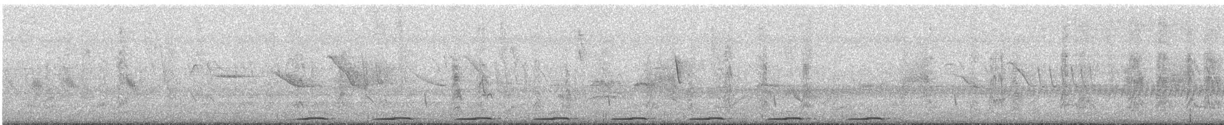 holoubek pikui - ML614735595