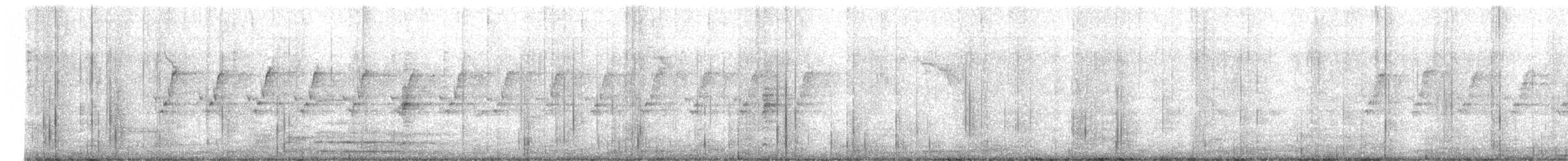 灰胸秧雞 - ML614736104