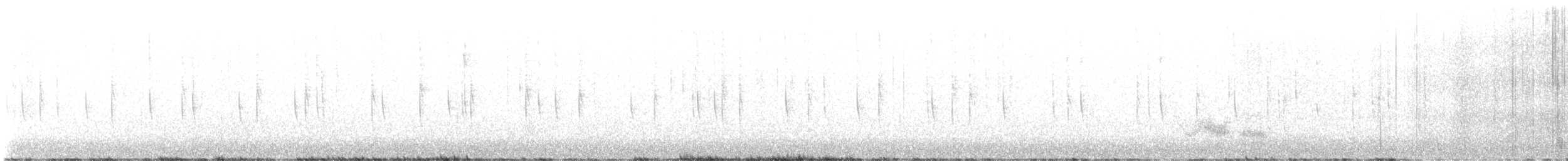 Colibri à oreilles blanches - ML614737346