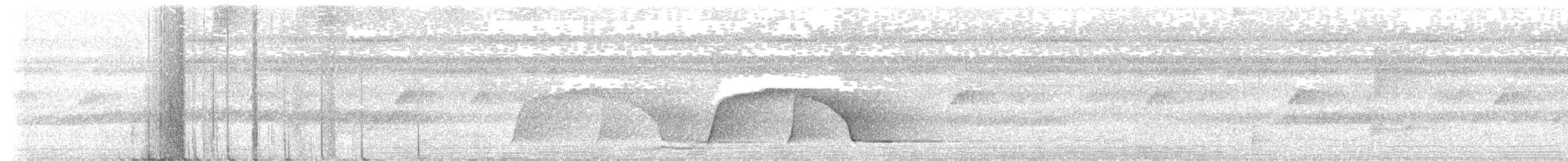 kotinga křiklavá - ML614756069