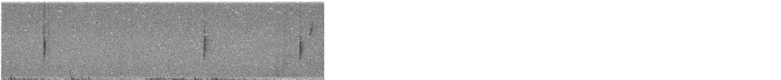 Миртовый певун (coronata x auduboni) - ML614757838