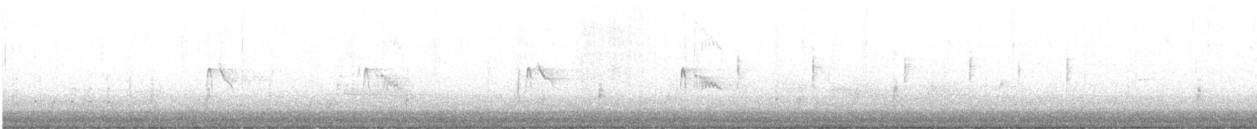 Black Phoebe (Northern) - ML614764690