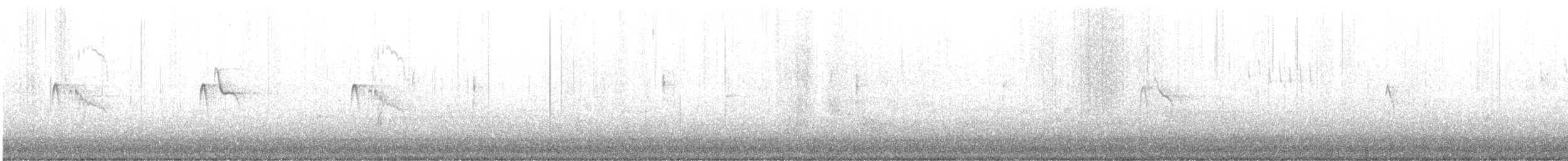 svartfibi (nigricans gr.) - ML614764692