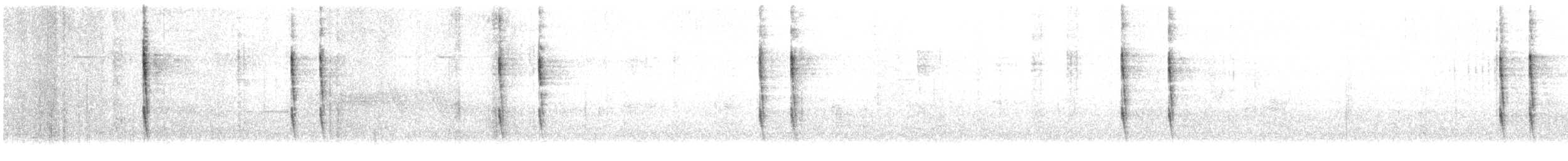 Troglodyte de Baird (groupe pacificus) - ML614766555
