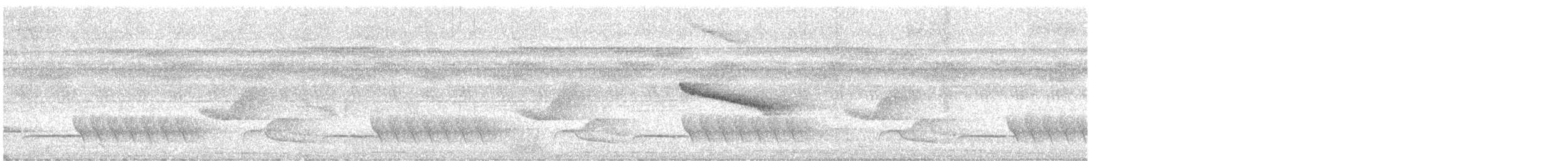 Troglodyte coraya - ML614766714