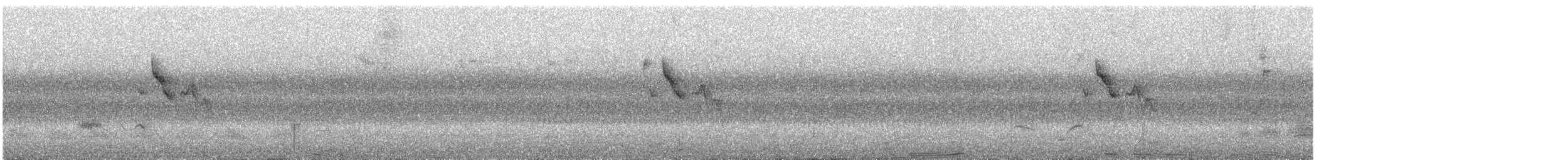 Gray-hooded Warbler - ML614771066