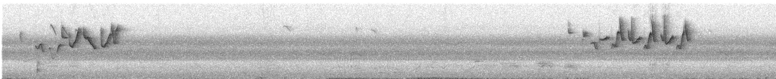 Gray-hooded Warbler - ML614771068
