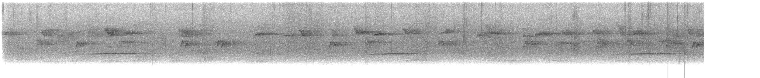 Длинноклювый колибри-отшельник - ML614775267