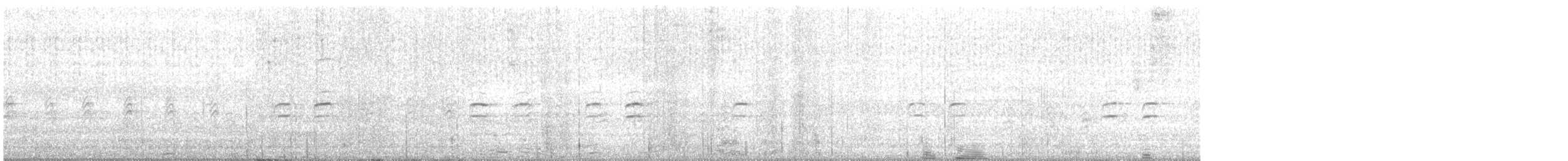 křivka bělokřídlá - ML614777523