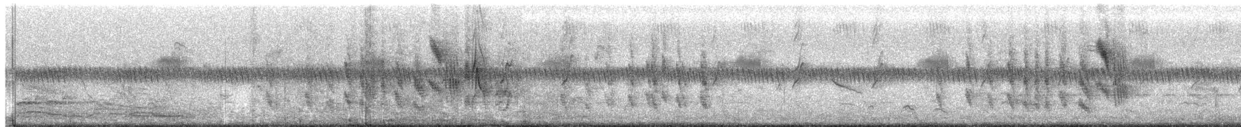 Trauerwitwe - ML614778869