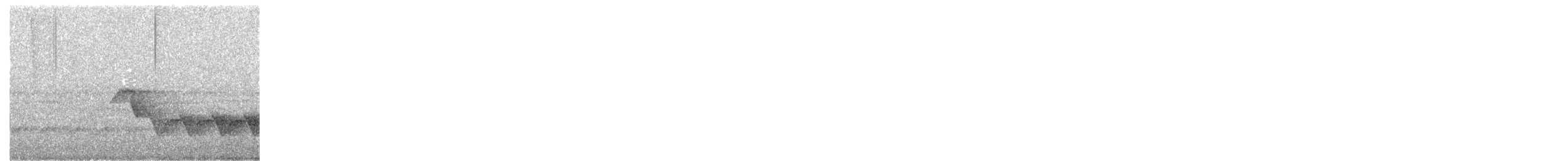 White-breasted Wood-Wren - ML614779360