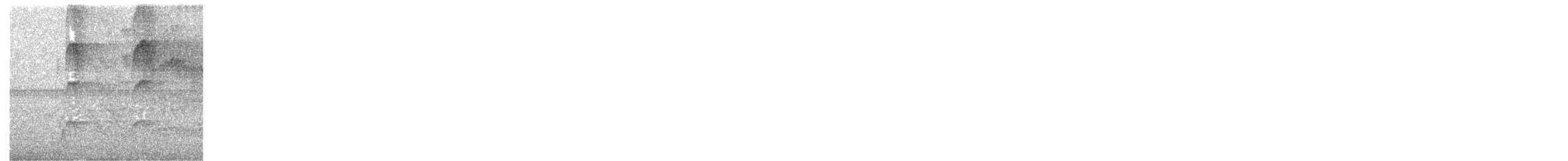 Slaty-capped Flycatcher - ML614779373