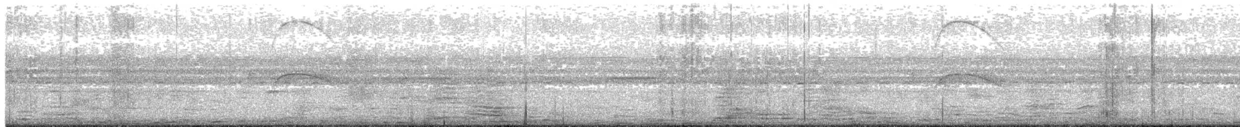 White-tailed Nightjar - ML614779390
