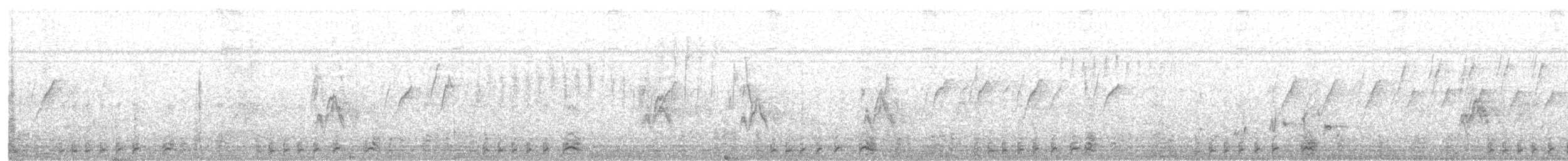 White-breasted Waterhen - ML614779424