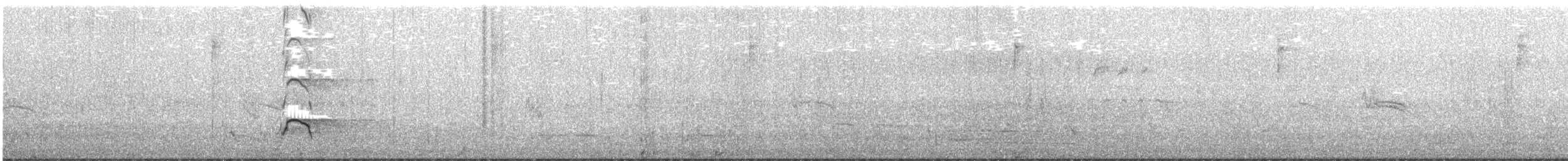 Yeni Zelanda Kara Poyrazkuşu - ML614789634