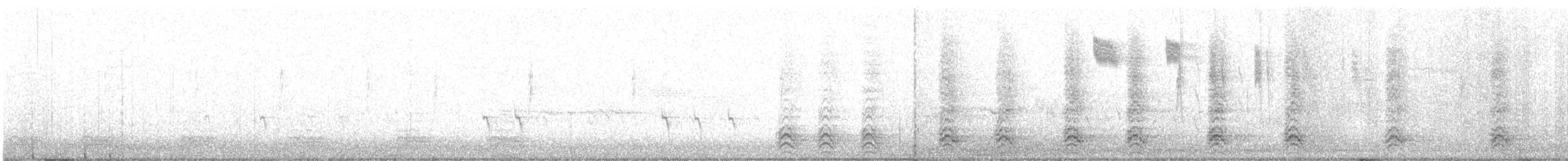 Fichtenkreuzschnabel (Typ 2) - ML614790914