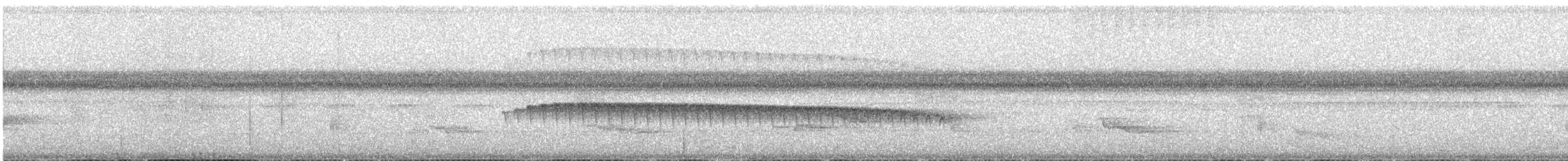 Dreibinden-Ameisenvogel - ML614792080